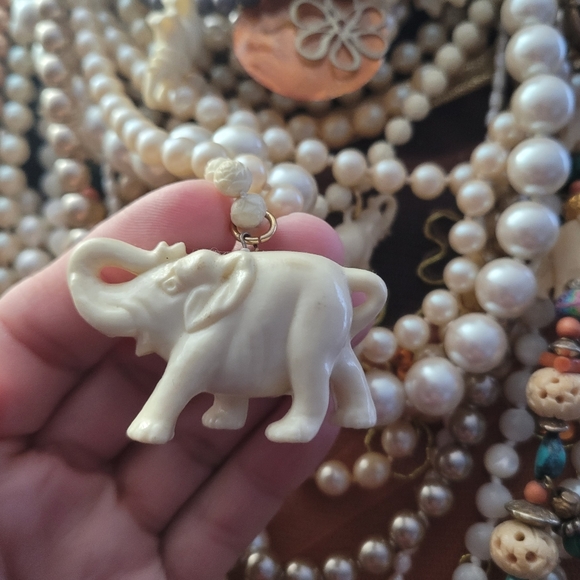 Meet your Posher, Jackie - Picture 1 of 1